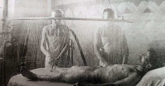 History of the Vichy Shower
