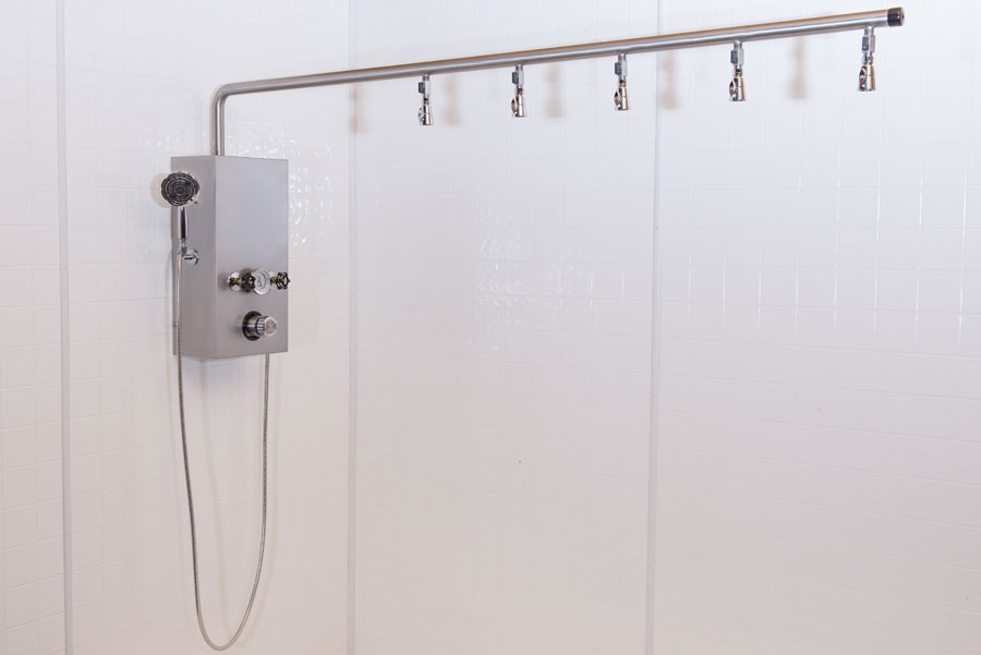 The Cascade Vichy Shower