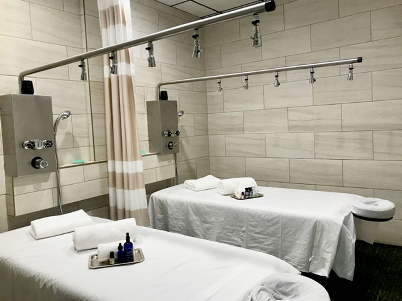 The Cascade Vichy Shower