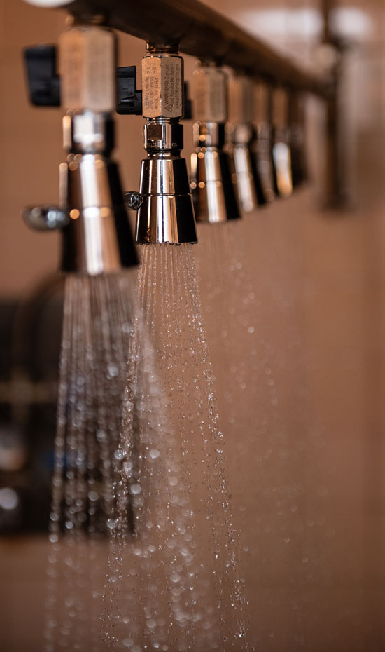 Contrast Showers Boost the Immune System